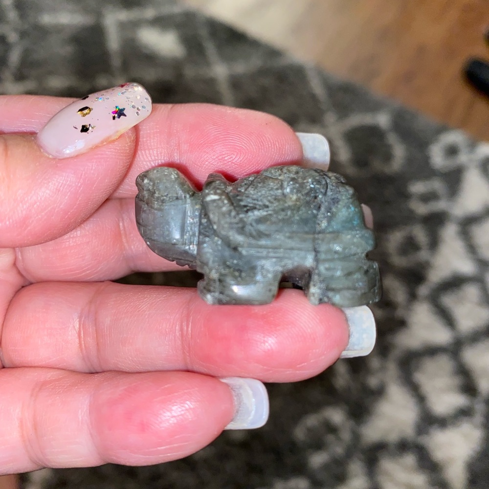 Crystal turtles - Picture 12 of 16